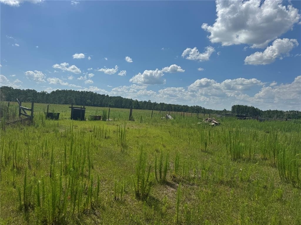 505 Deen Still Road - Photo 14