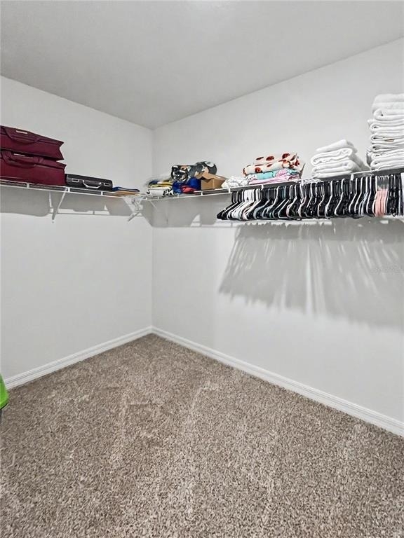 137 Whiteland Bend - Photo 9
