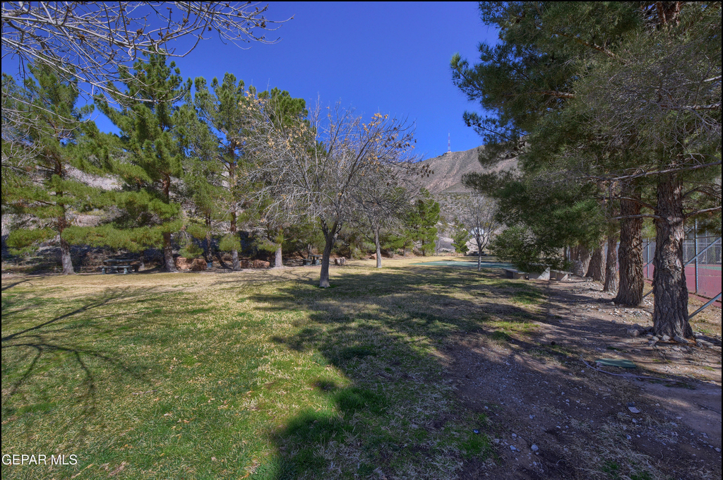 4800 N Stanton Street - Photo 11