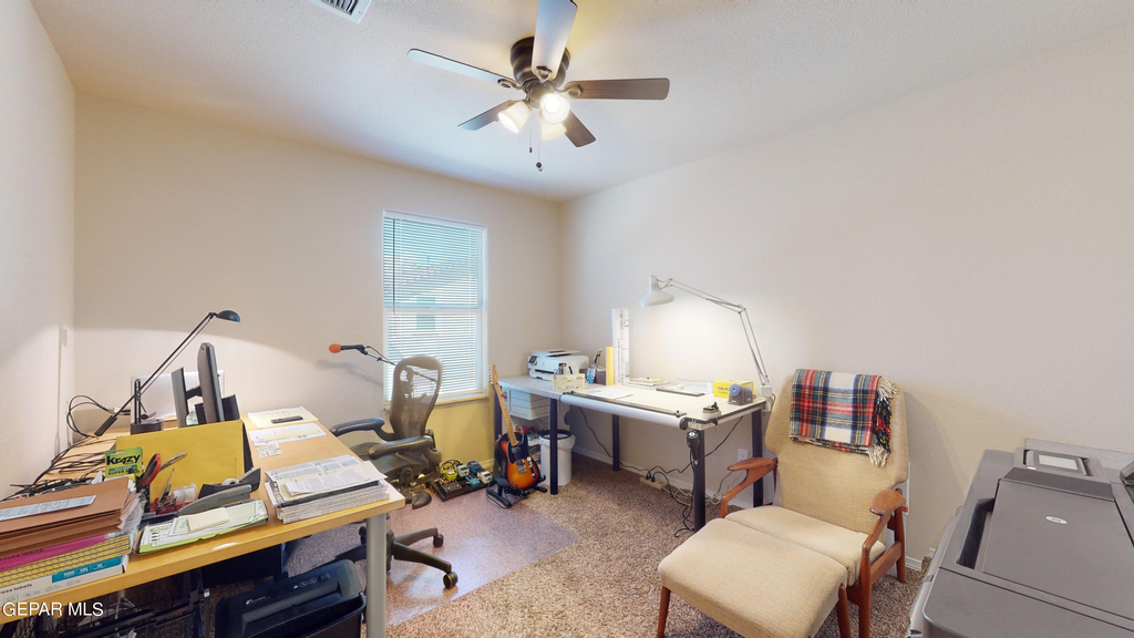 6689 Red Canyon Sage Lane - Photo 14