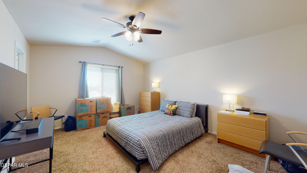 6689 Red Canyon Sage Lane - Photo 23