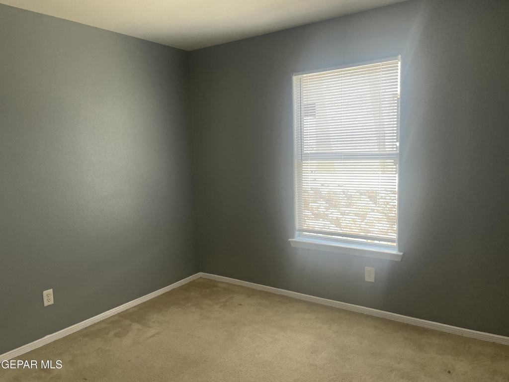 5724 Saluki Drive - Photo 8