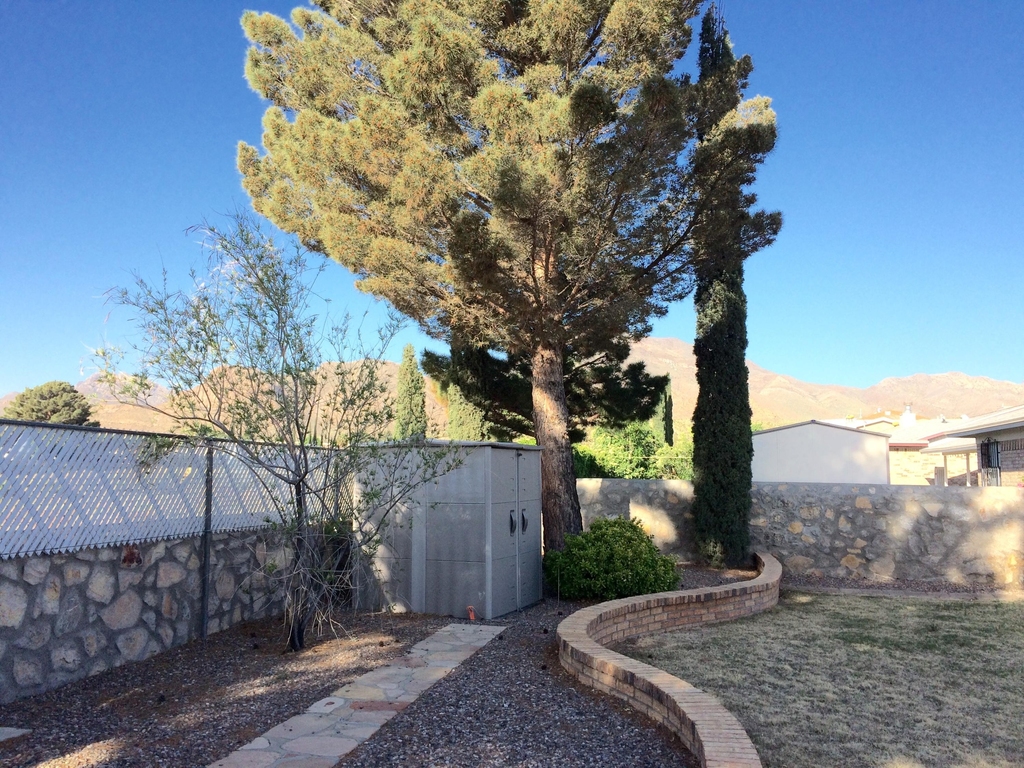 4616 Marissa Drive - Photo 12