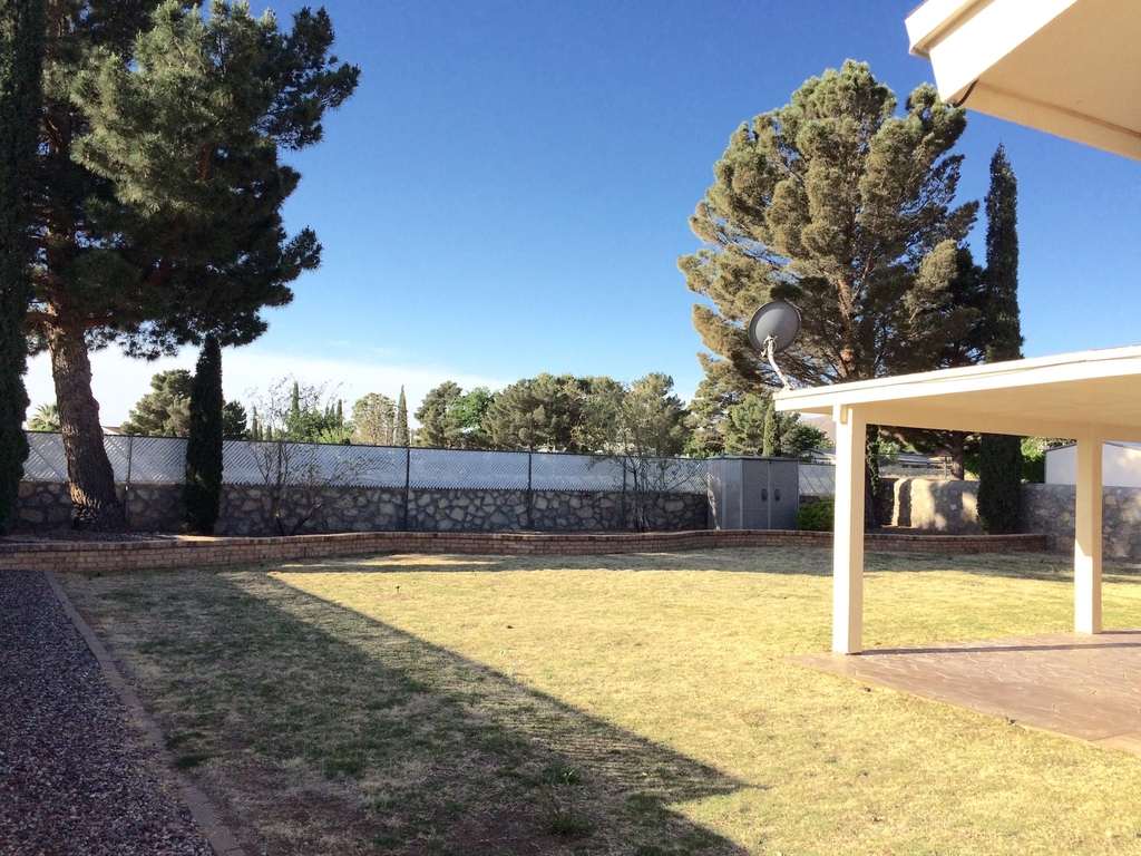4616 Marissa Drive - Photo 3