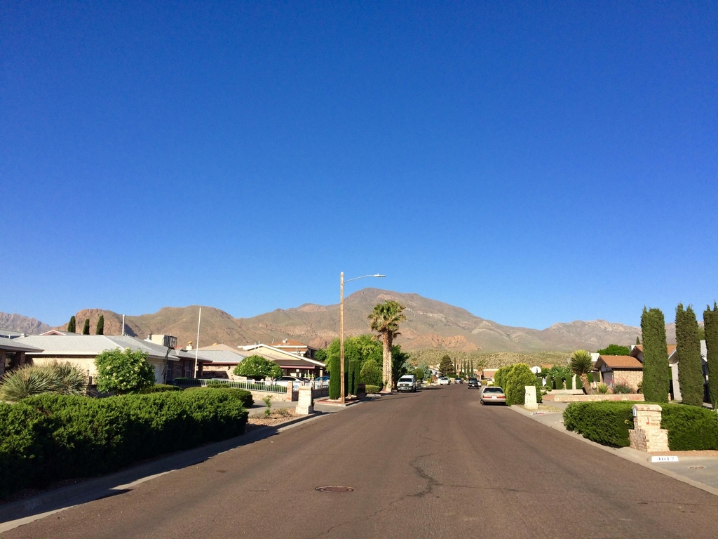 4616 Marissa Drive - Photo 13