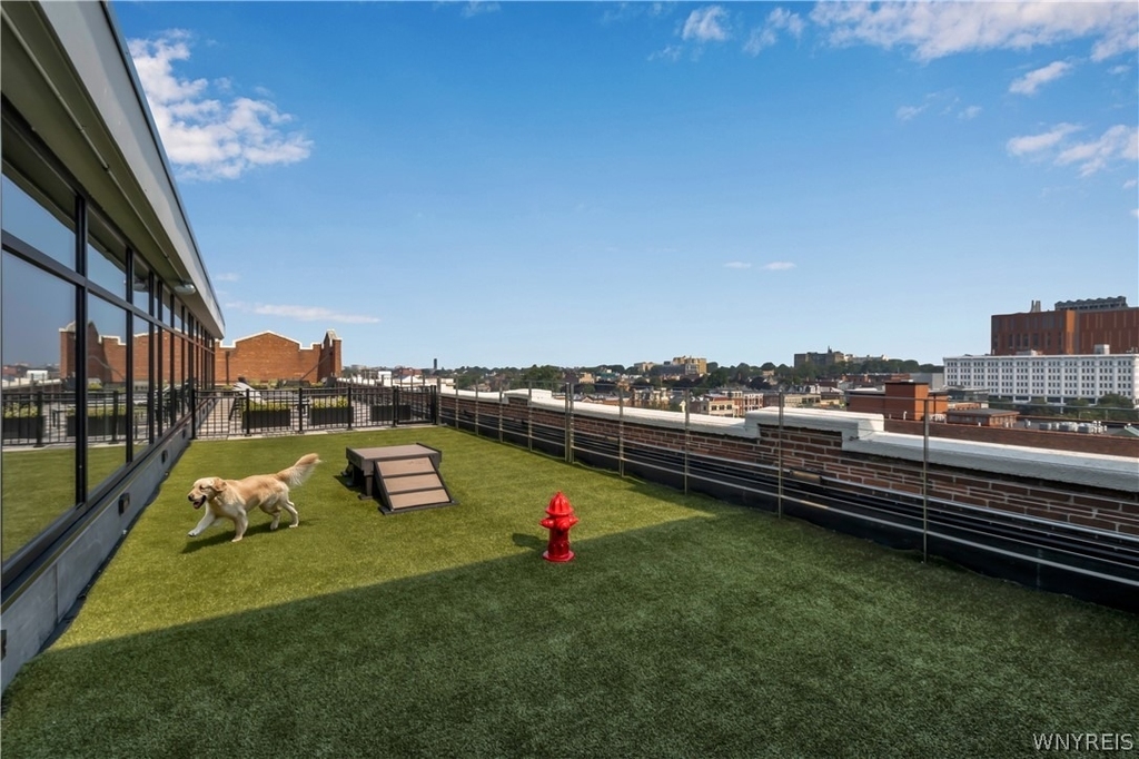 628 Ellicott Street - Photo 3