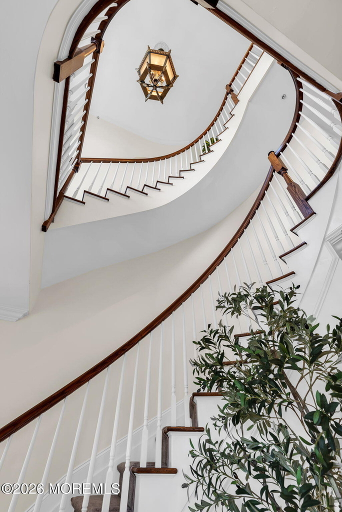 22 Mckinley Street - Photo 28