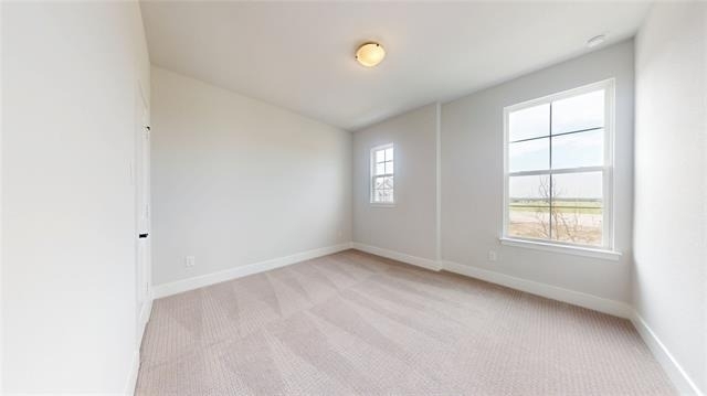 7163 Lathrop Lane - Photo 19