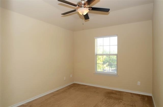 6504 Hickory Hill Drive - Photo 10
