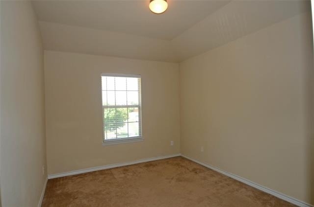 6504 Hickory Hill Drive - Photo 12
