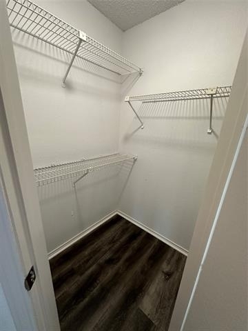 2301 Basil Drive - Photo 18
