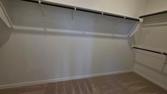 2513 Birchcrest Drive - Photo 5