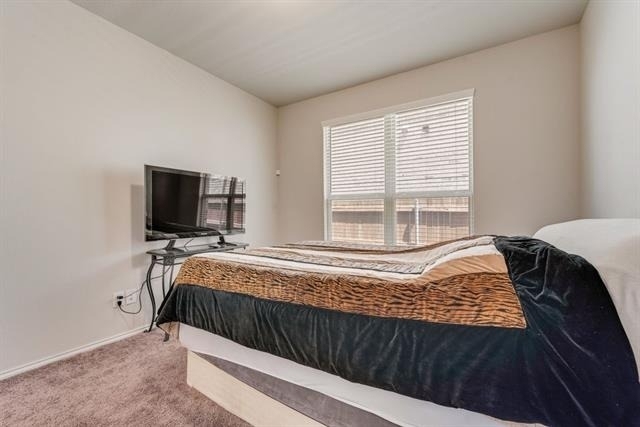 3403 Western Trail - Photo 30