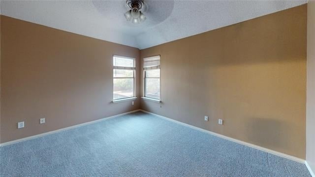 5205 Promise Land Drive - Photo 13