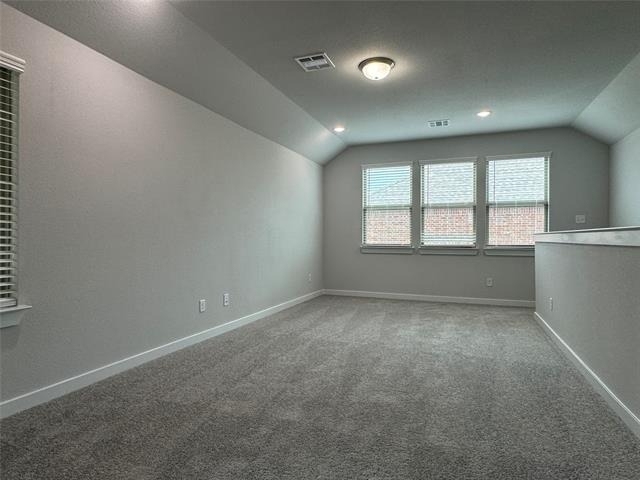 831 Rosebud Trail - Photo 11