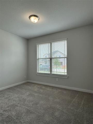 831 Rosebud Trail - Photo 16