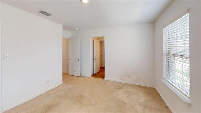3750 Honey Daisy Drive - Photo 15