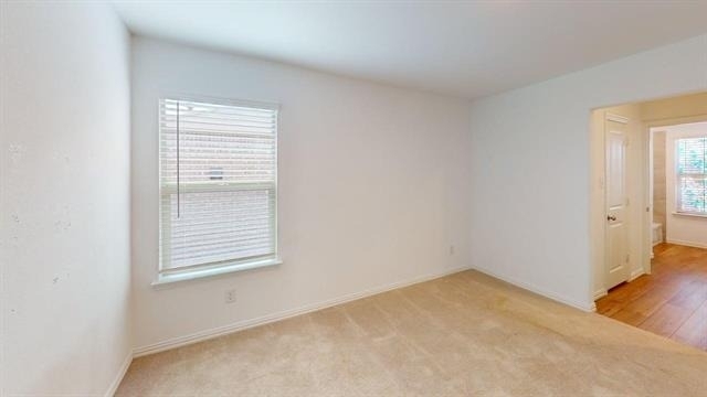 3750 Honey Daisy Drive - Photo 14
