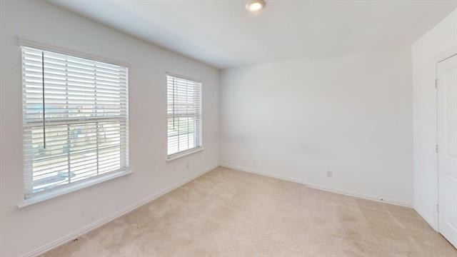 3750 Honey Daisy Drive - Photo 10