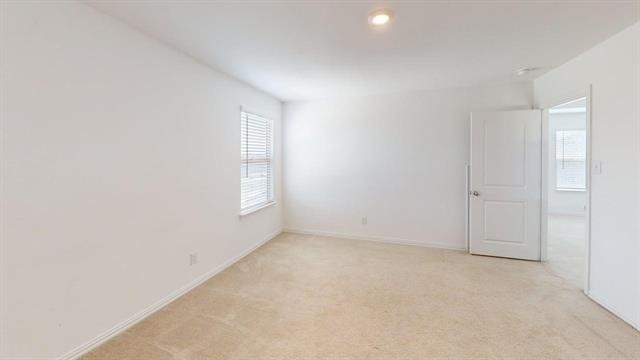 3750 Honey Daisy Drive - Photo 12