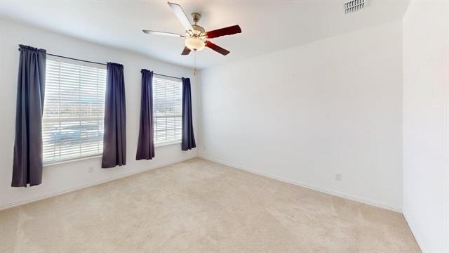 3750 Honey Daisy Drive - Photo 8