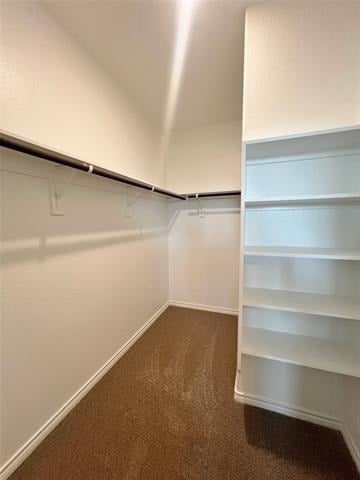 5021 Chital Drive - Photo 16