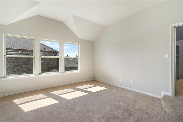 2455 Lusitano Lane - Photo 16