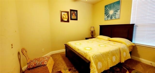 104 Rustic Oak Lane - Photo 5