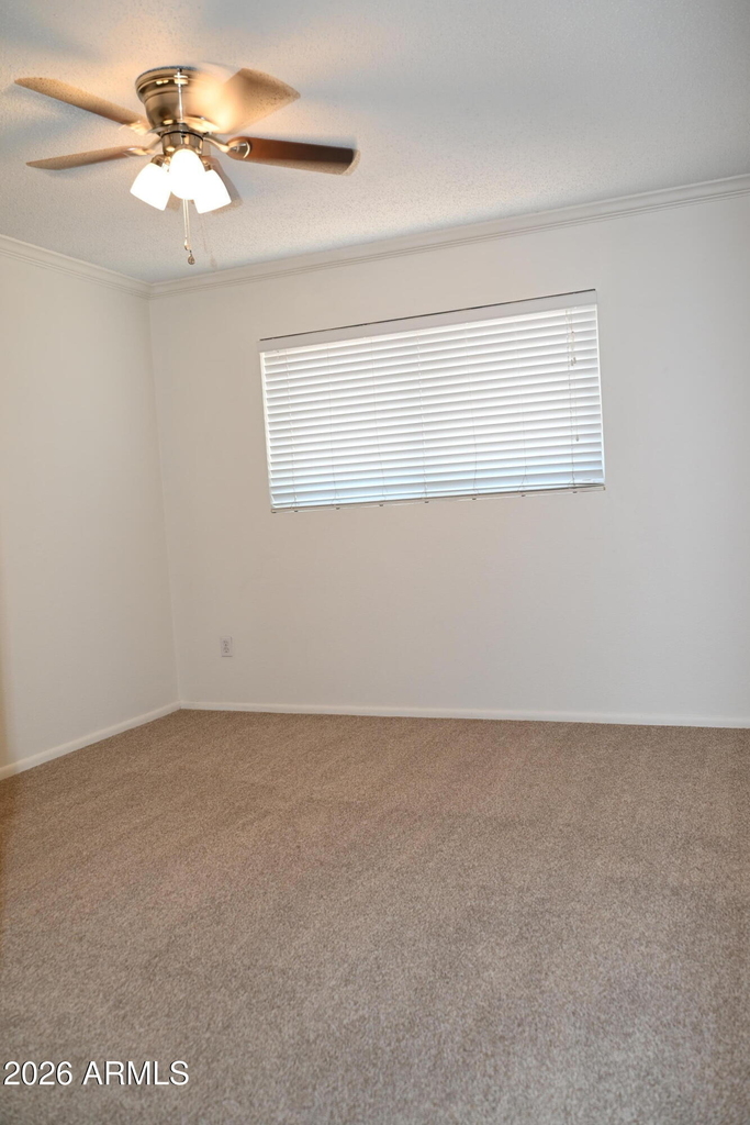 3626 N 80th Place - Photo 10