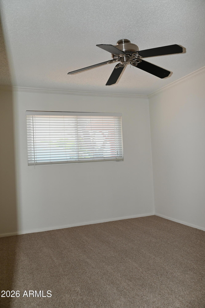 3626 N 80th Place - Photo 12