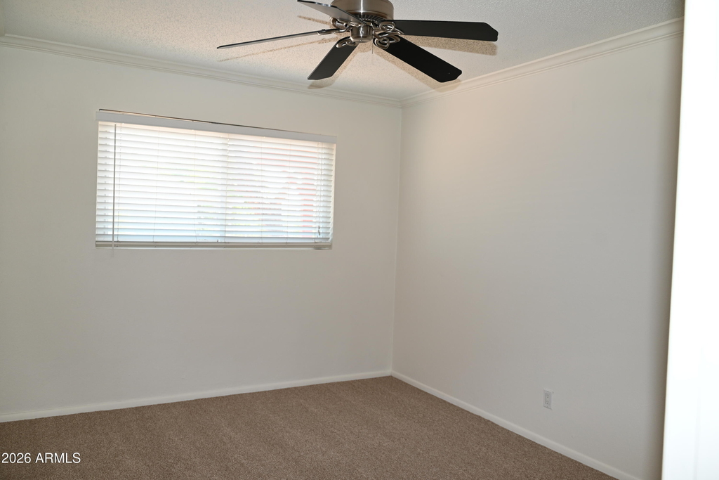 3626 N 80th Place - Photo 13