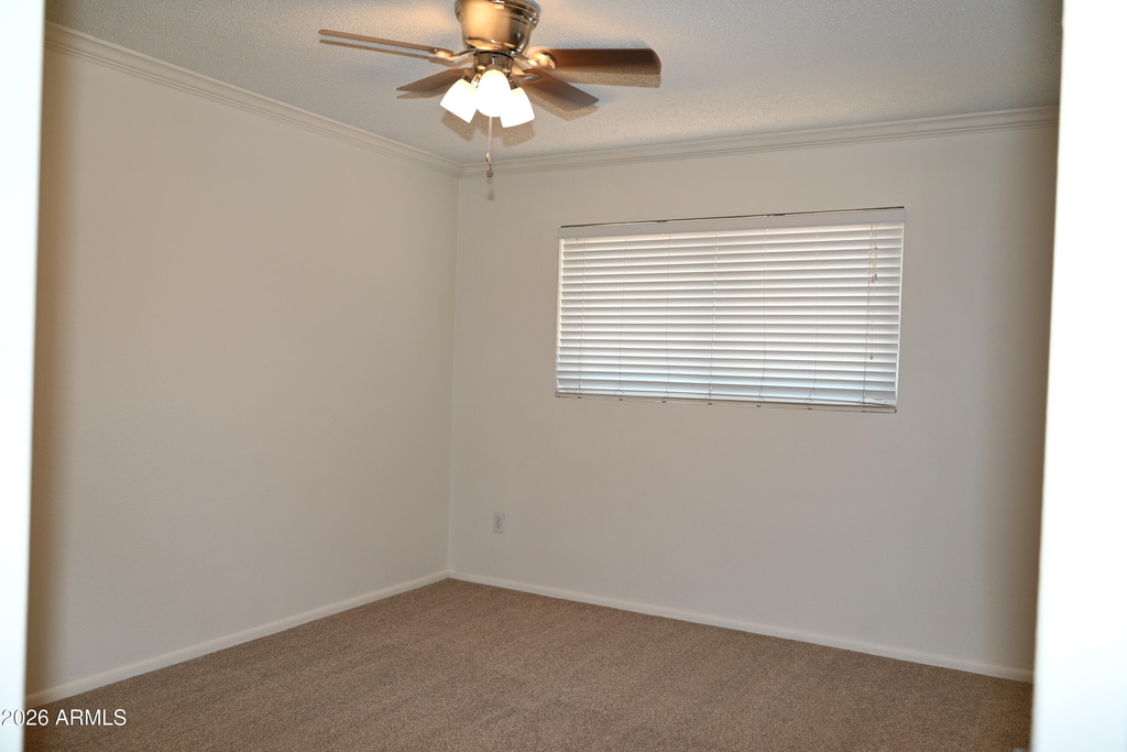 3626 N 80th Place - Photo 11