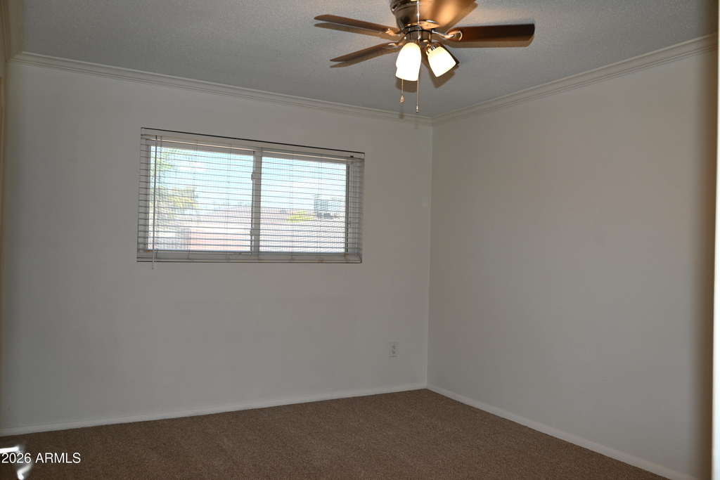 3626 N 80th Place - Photo 6