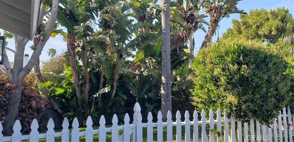 215 Knox Street - Photo 39