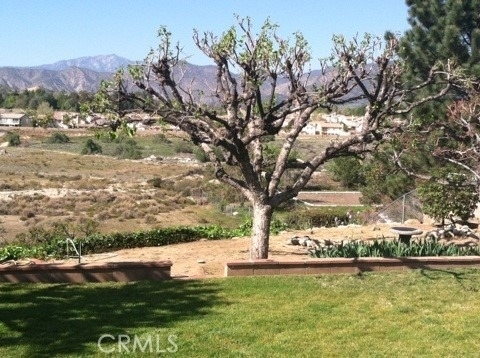 34786 Date Street - Photo 2