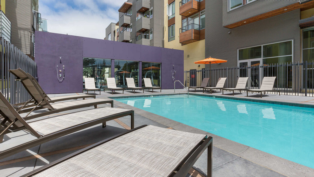1333 Powell Street - Photo 34