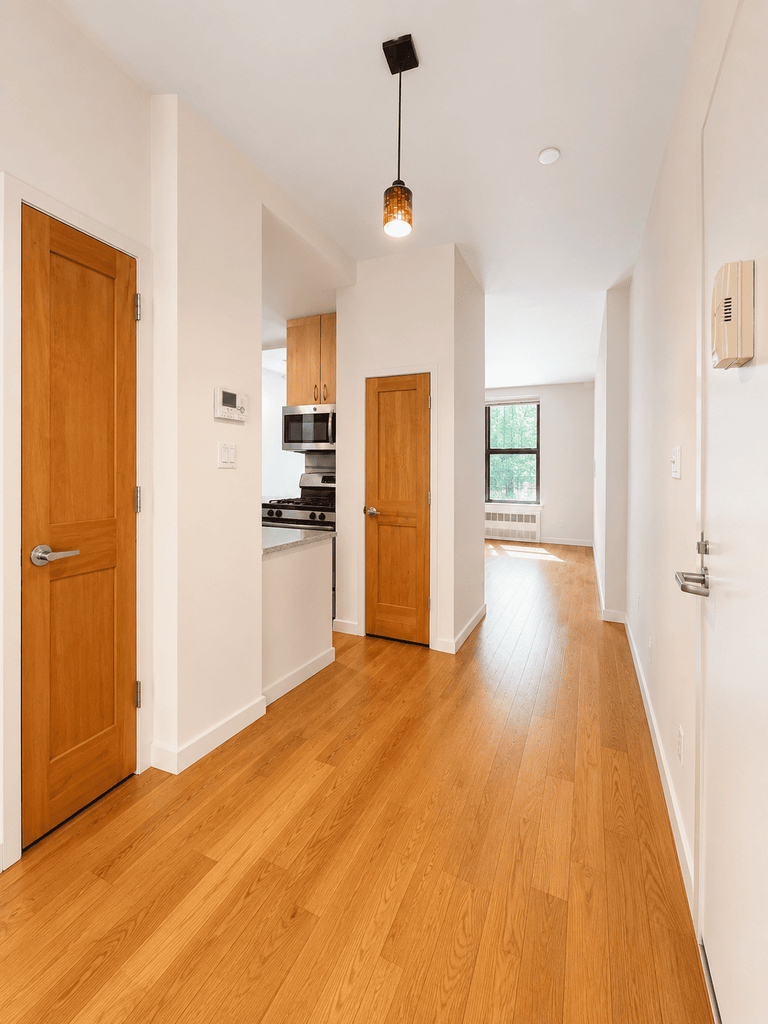 250 Manhattan Avenue - Photo 1