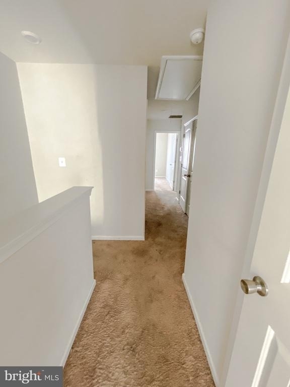 131 Cramsford Street - Photo 8