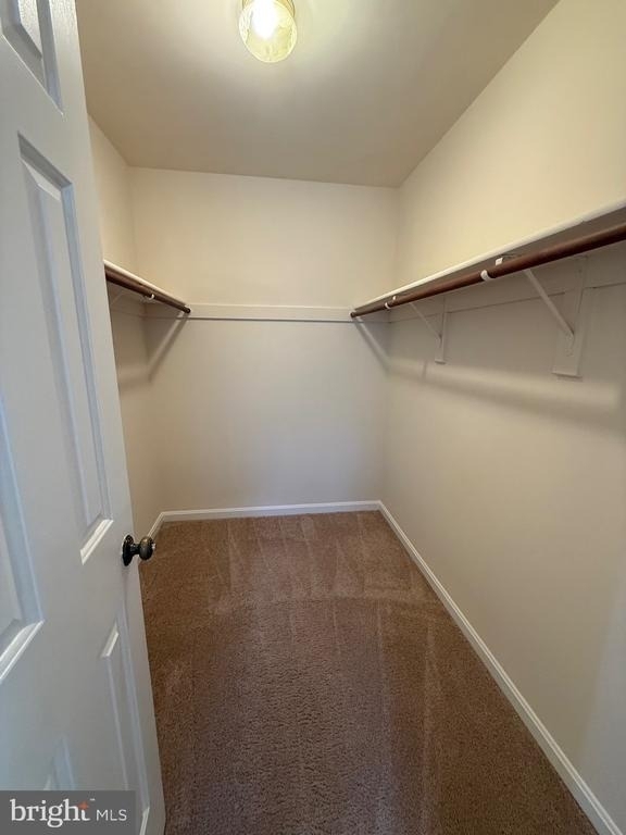 5805 Coolidge Court - Photo 18