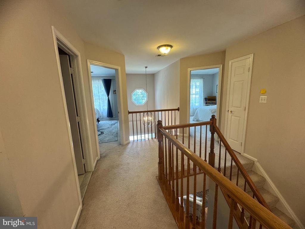 1338 Park Garden Lane - Photo 6