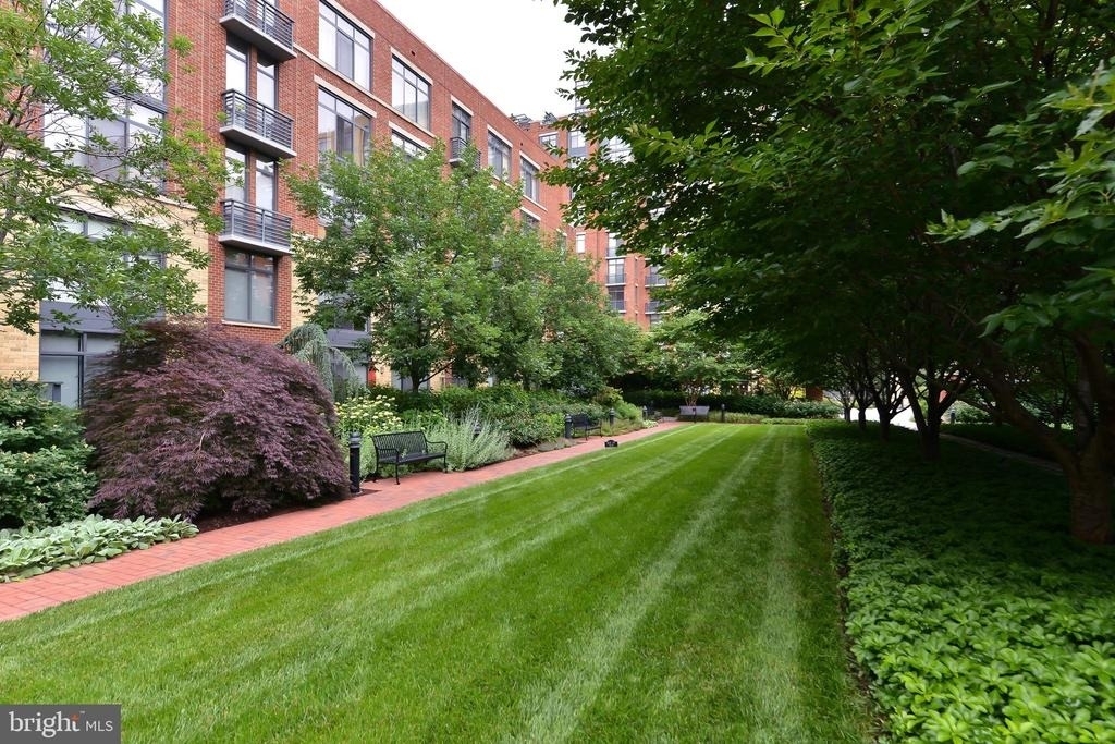 520 John Carlyle Street - Photo 26