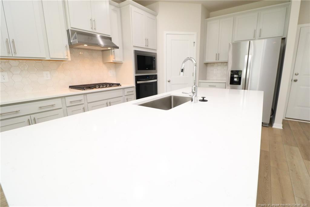 4129 Hazel Branch Way - Photo 5
