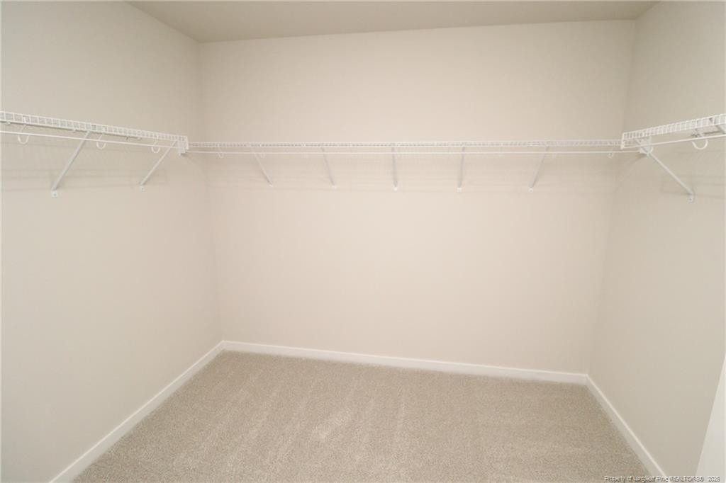 4129 Hazel Branch Way - Photo 29