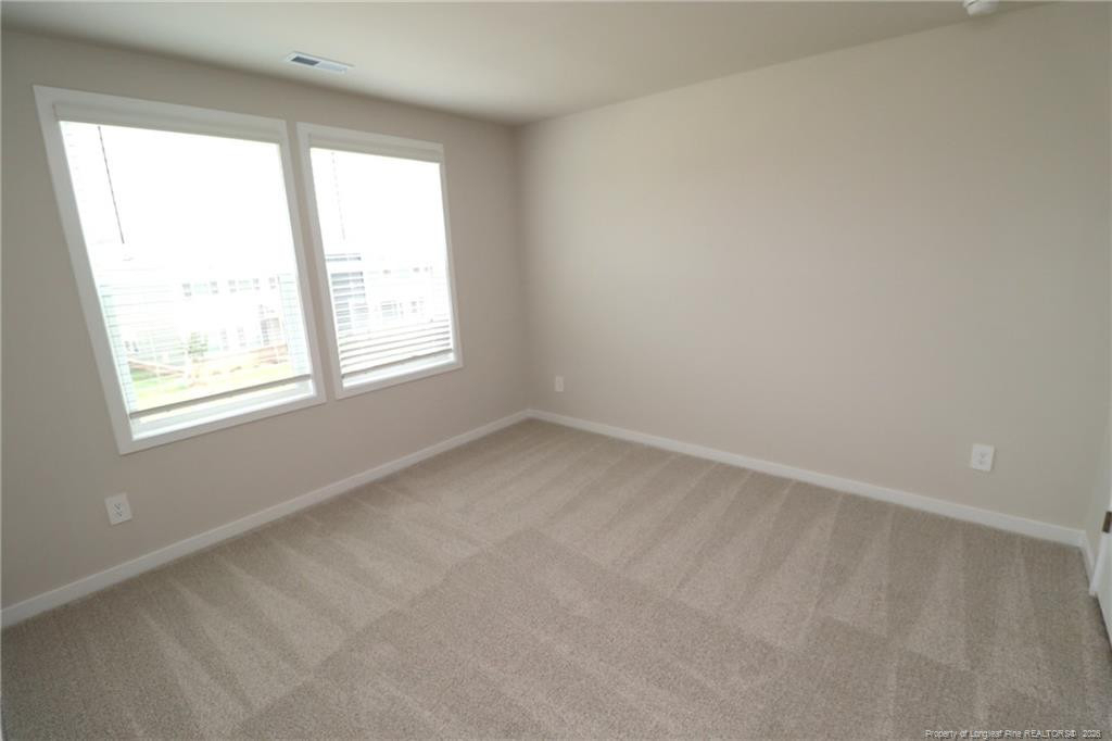 4129 Hazel Branch Way - Photo 36