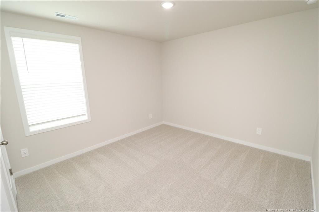 4129 Hazel Branch Way - Photo 31
