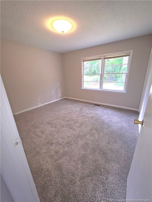 434 Homestead Drive - Photo 9