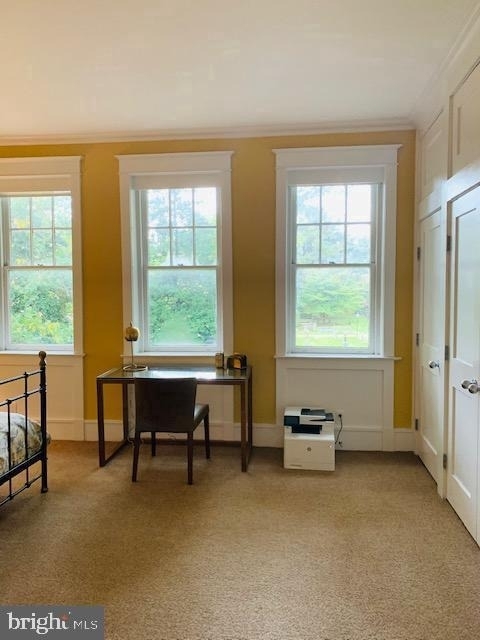 323 Pine Street - Photo 23