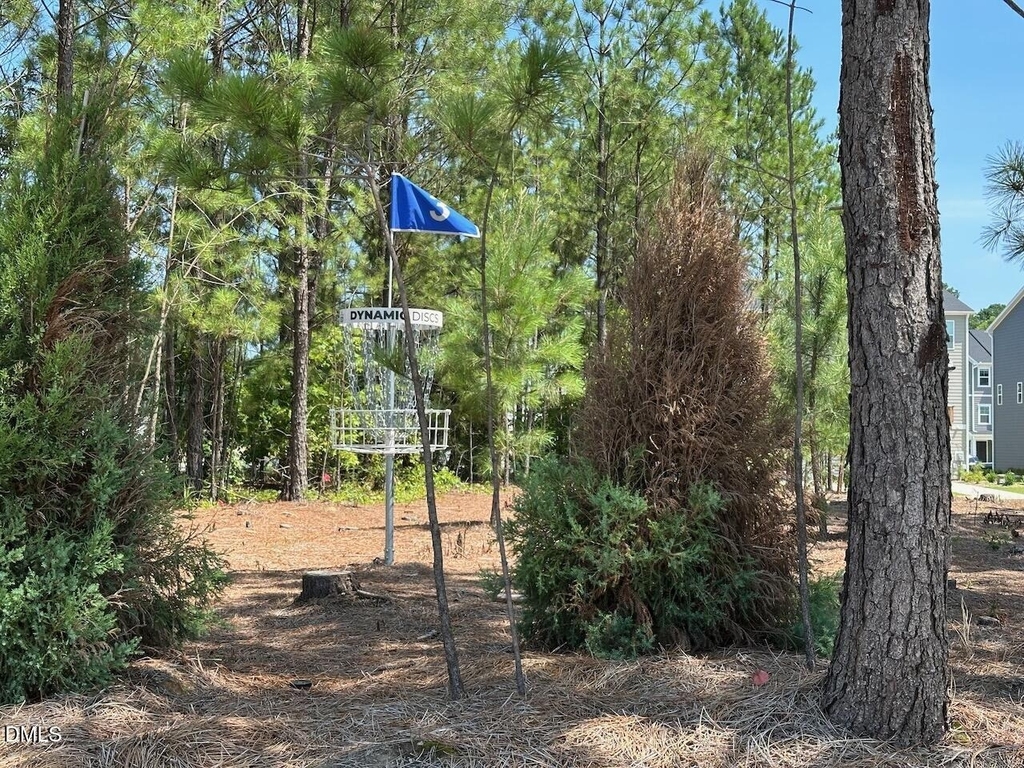 328 Carolina Spgs Boulevard - Photo 30