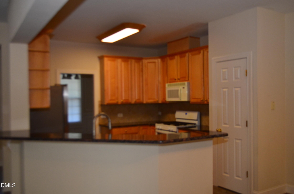 311 Capistrane Drive - Photo 13