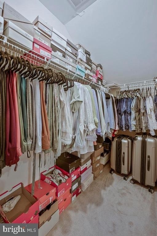 1117 Horizon View Place - Photo 42